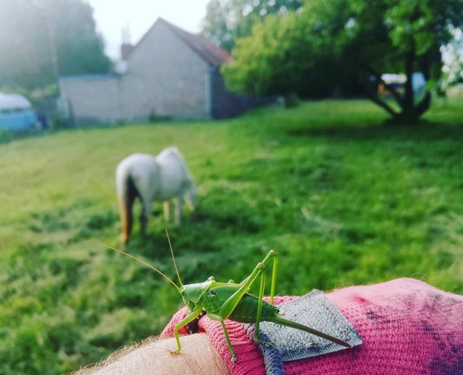 Maison De Campagne Dans Village De Nature Écourt-Saint-Quentin Екстериор снимка